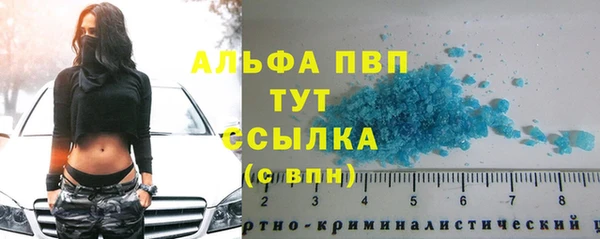 ГАЛЛЮЦИНОГЕННЫЕ ГРИБЫ Коряжма