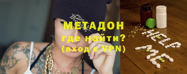 ГАЛЛЮЦИНОГЕННЫЕ ГРИБЫ Тайга