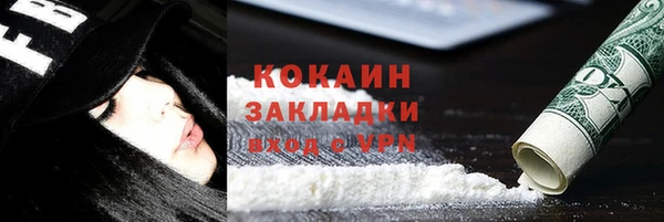 дмт Костерёво