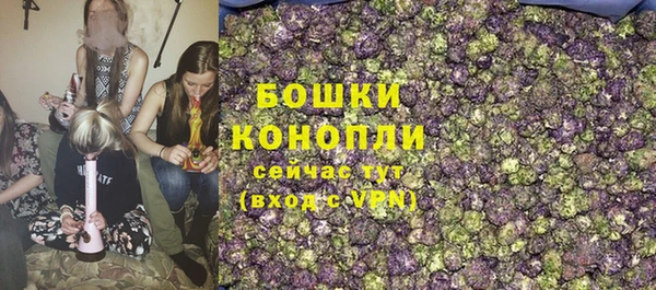 дмт Костерёво