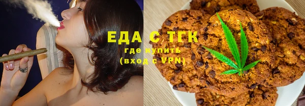 ГАЛЛЮЦИНОГЕННЫЕ ГРИБЫ Тайга