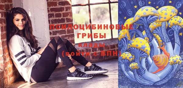 дмт Костерёво